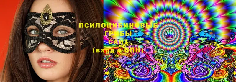 Псилоцибиновые грибы Magic Shrooms  Аткарск 